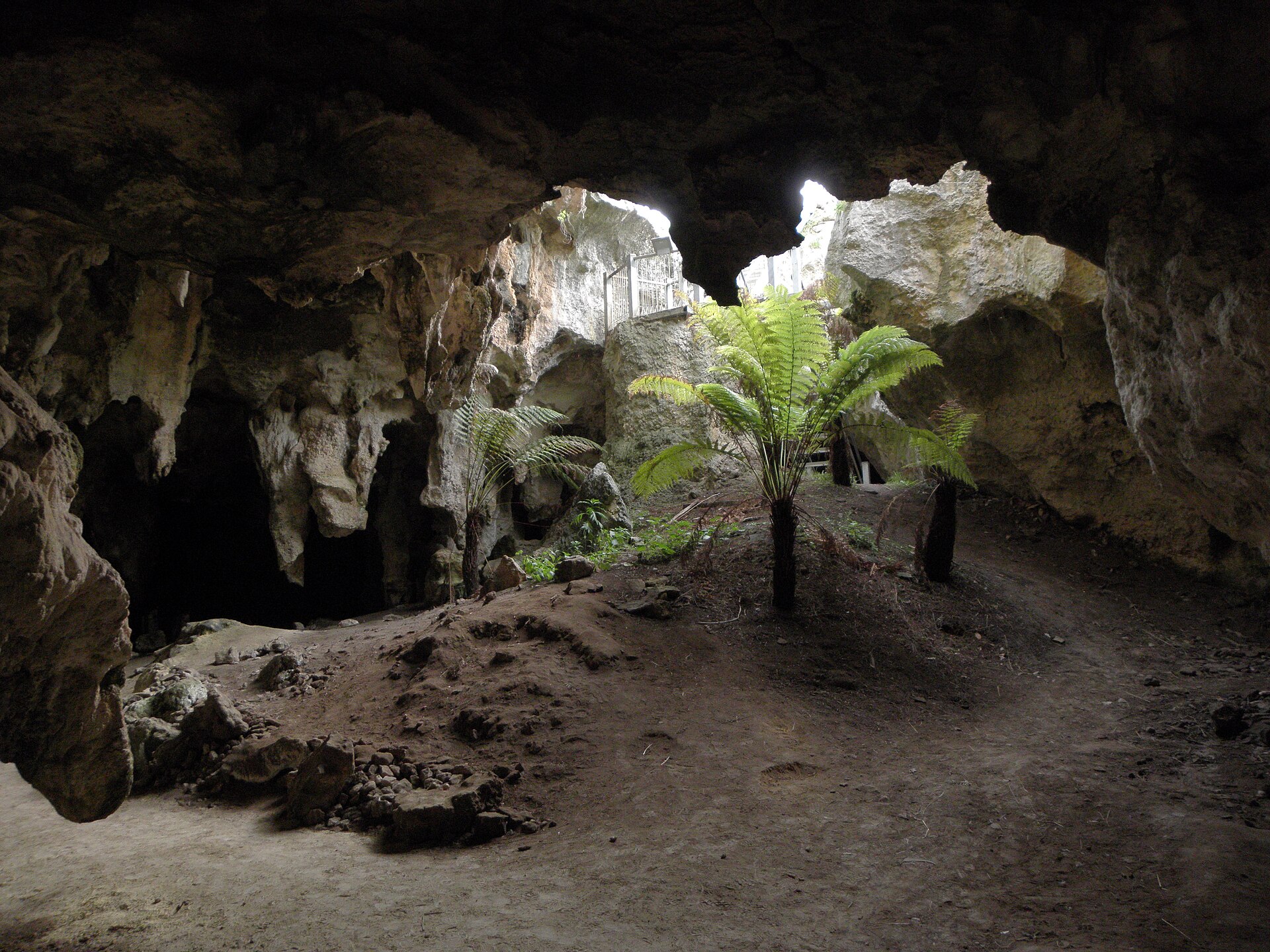 Best Family Things to Do on the Limestone Coast