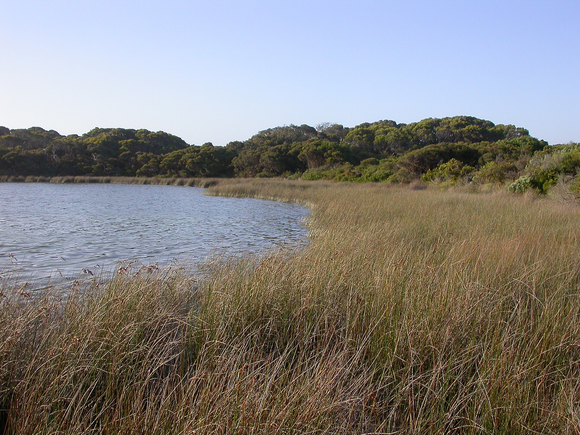 Little Dip Conservation Park