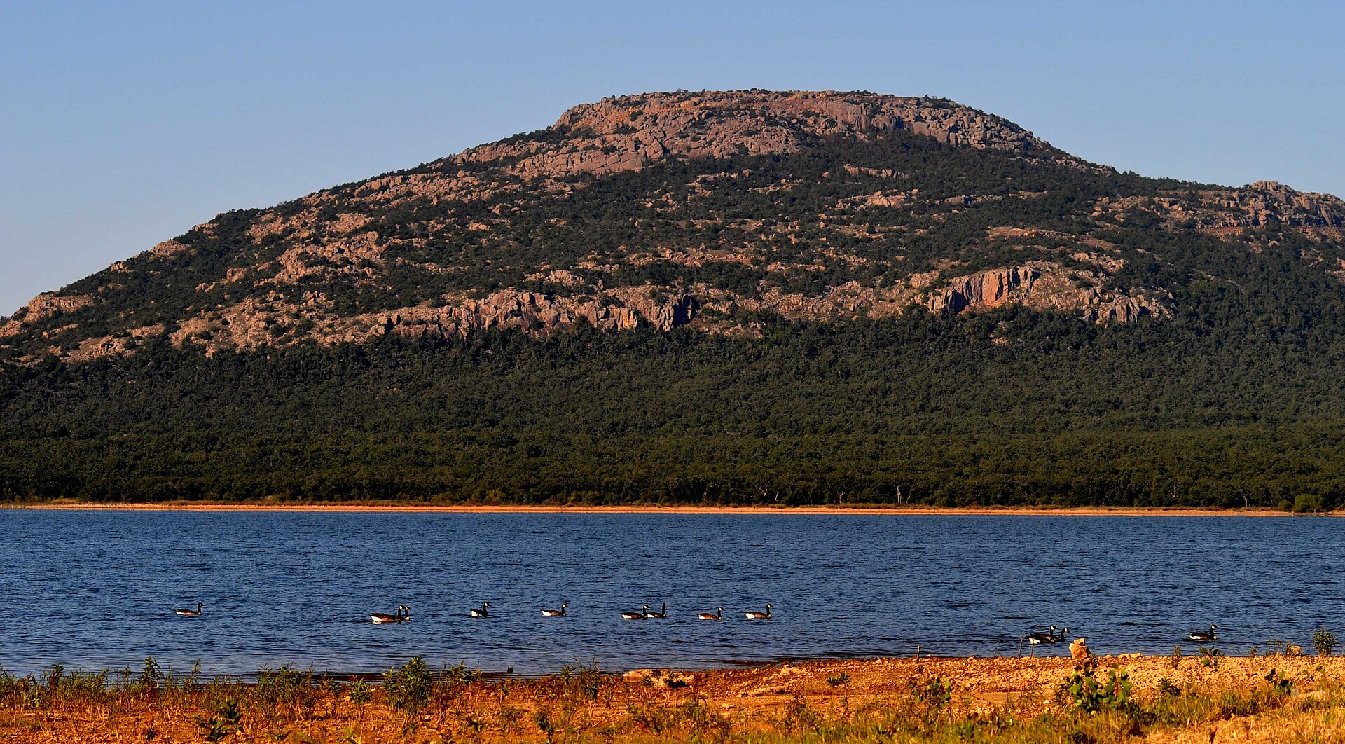 Mount Scott Conservation Park