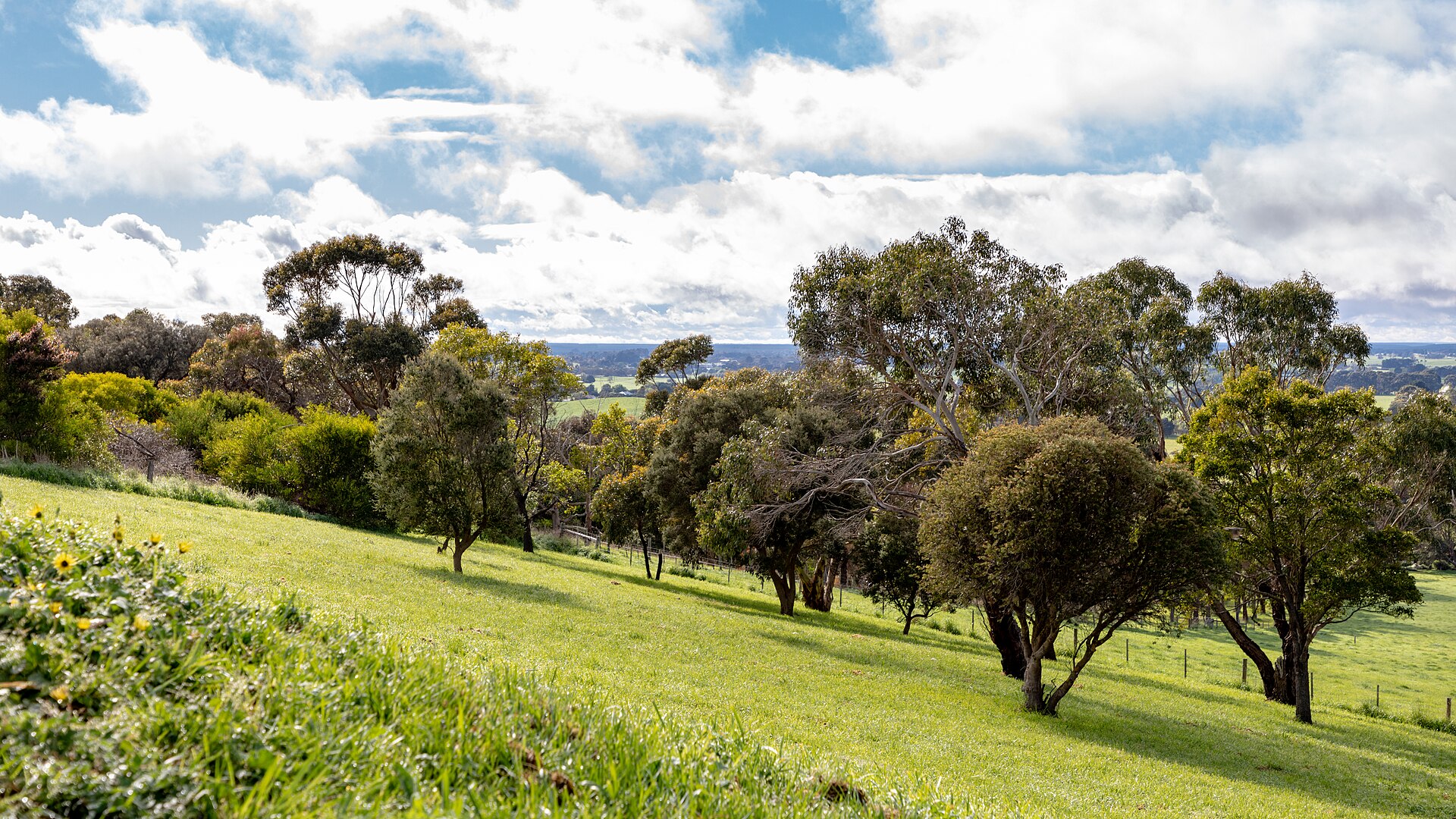 Mount Gambier